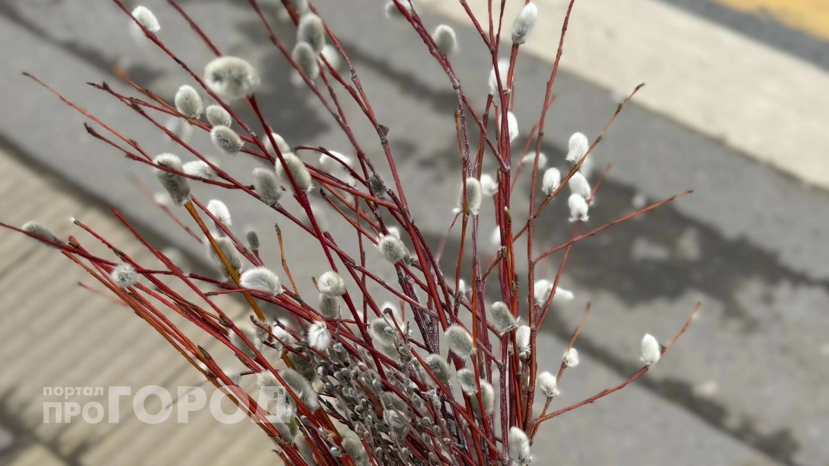 Туман сулит хороший урожай: Вербное воскресенье-2026 - точная дата, приметы и запреты