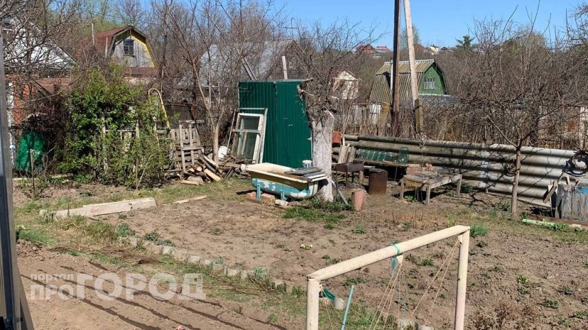 Не вздумайте сажать эти цветы на даче: убивают всю систему и губят урожай на корню