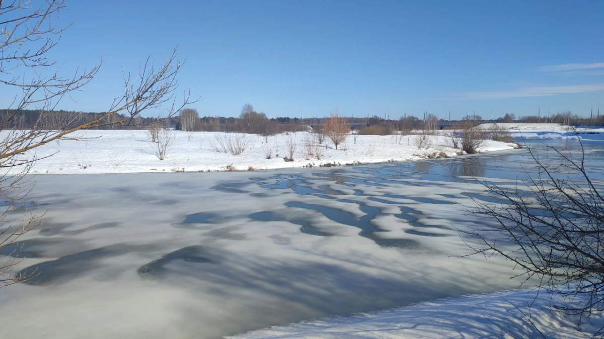 Со дна Малой Кокшаги достанут пять тонн мусора и тысячу стволов деревьев: “Русло чистят не в угоду застройщику за “Теплой речкой” 
