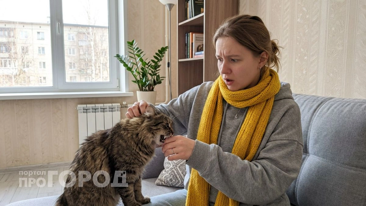 Почему кошка сначала облизывает, а потом кусает: скрытая причина