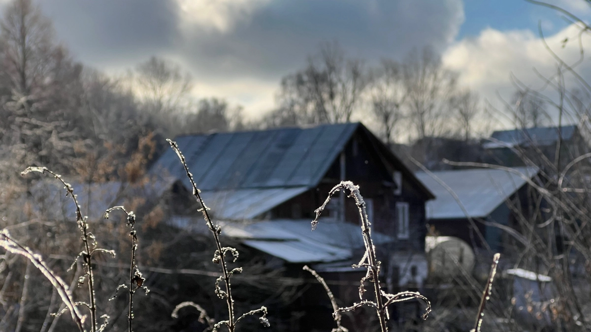 Хлесткие заморозки ударят исподтишка: Вильфанд расстроил россиян свежим прогнозом