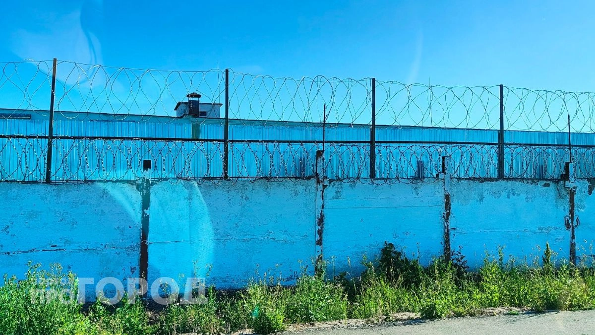 Жительница Марий Эл приехала в тюрьму к сыну с подарком, но его забрали и заставят платить штраф