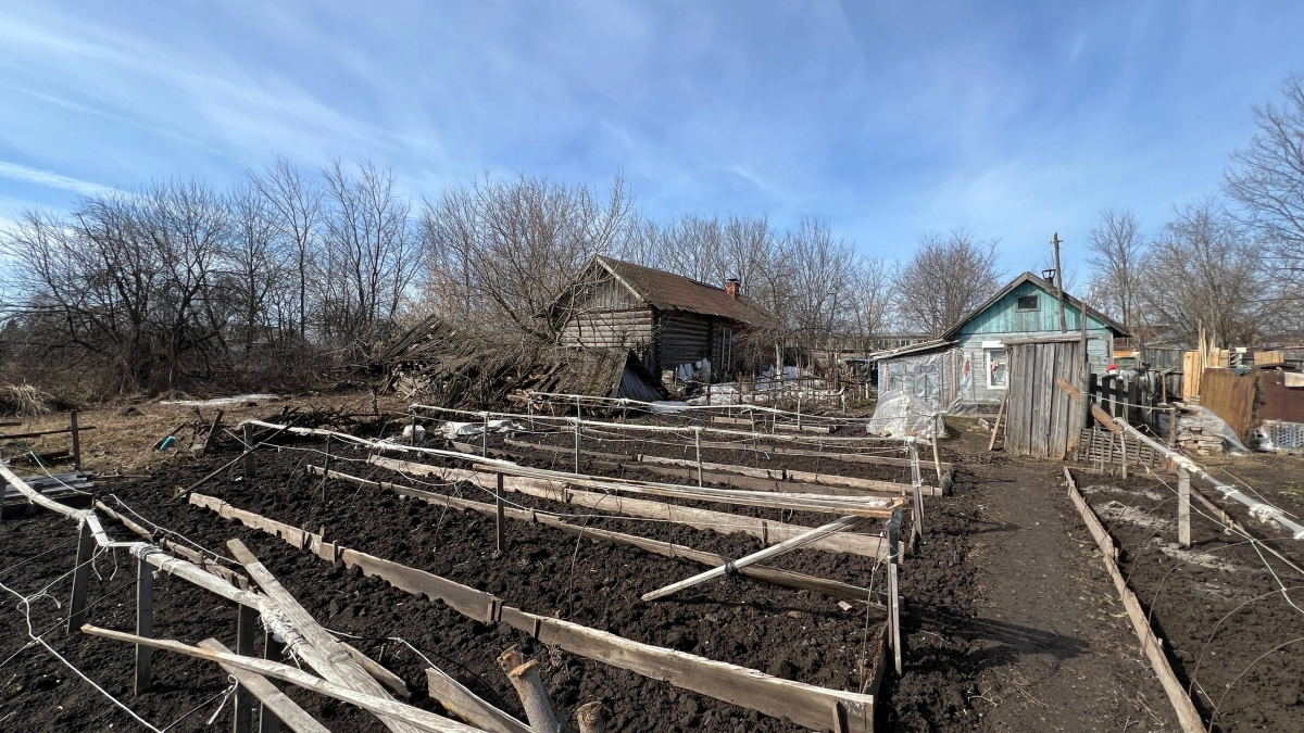 Деревянные доски на 100 лет без гнили: забытый дедовский метод, который затмевает современные пропитки