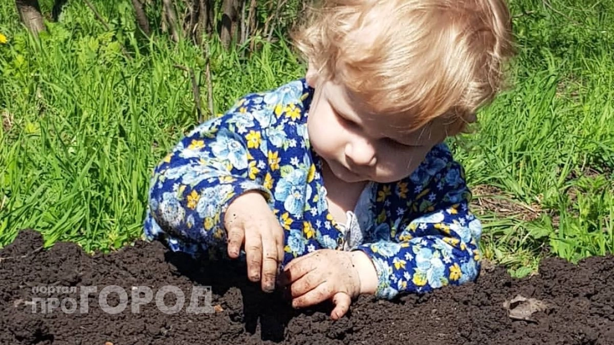 Сею рассаду в эти дни и урожай получается в два раза больше: точные даты