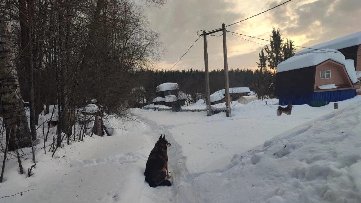 В День дурака в Марий Эл резко потеплеет до +16 градусов