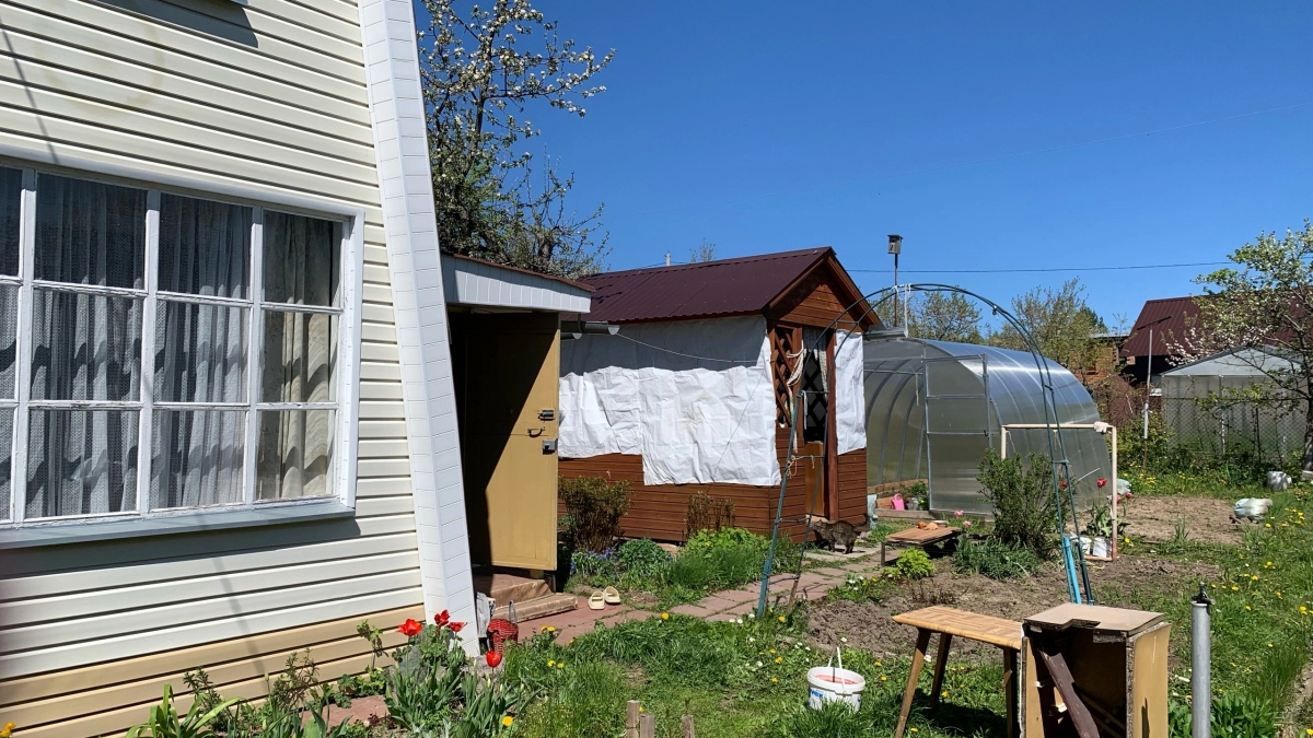 Обычные дорожки на даче уже колхоз: почему все переходят на другой вариант — выглядит дорого