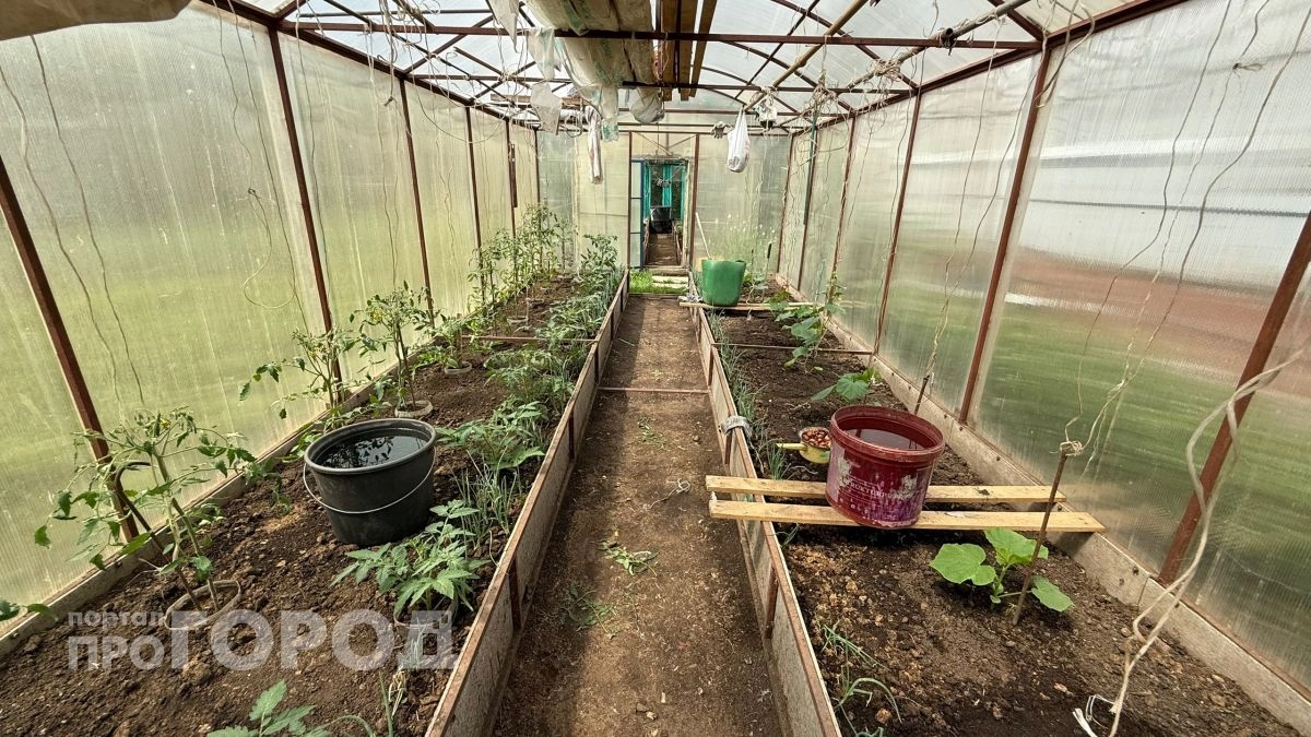 Поликарбонат больше не в моде: нашла новый материал для теплицы - дешевый и не боится морозов