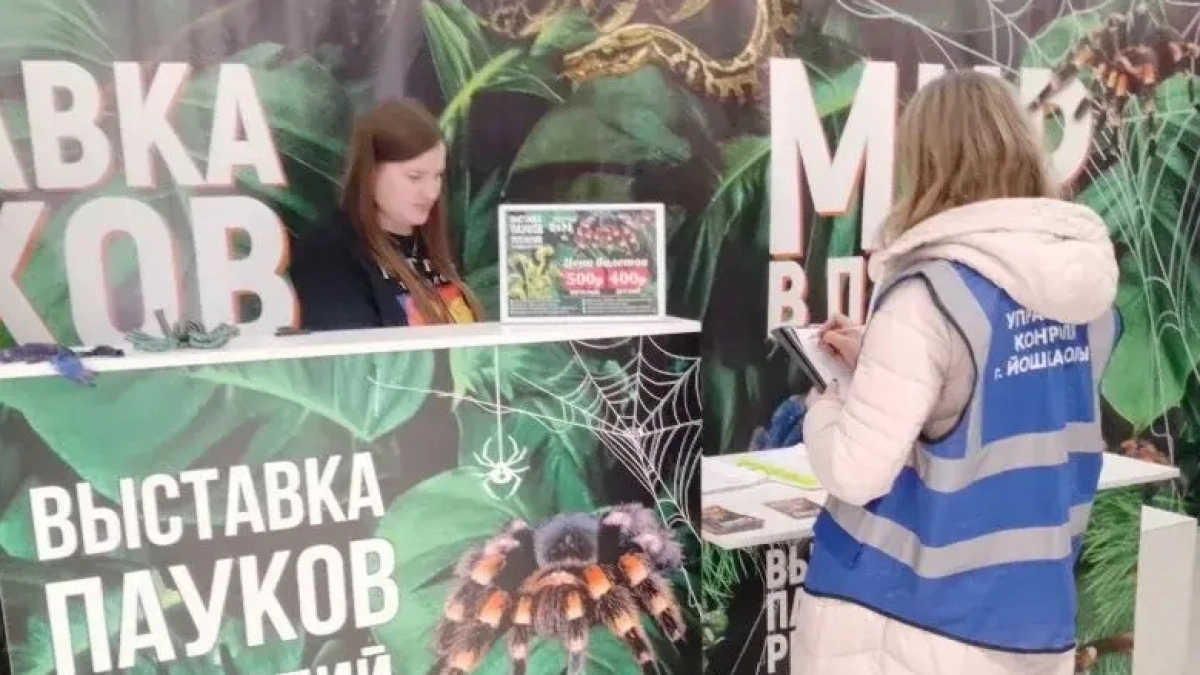 Йошкар-Ола оштрафует выставку пауков за рекламу