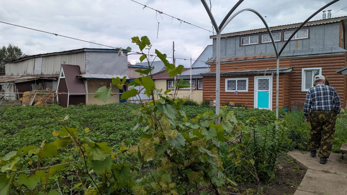 Получите урожай раньше соседей: 7 способов прогреть почву и сдвинуть сроки посадки — секреты опытных садоводов