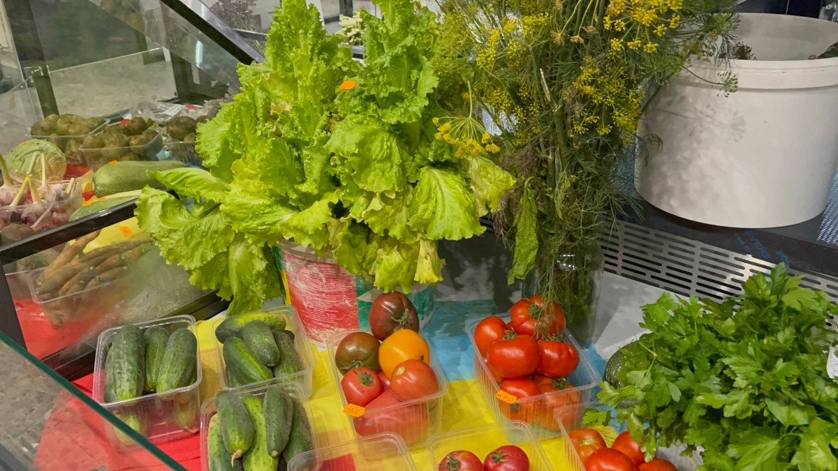 Никаких соков сельдерея: три простых продукта, которые на самом деле помогают после онкологии — и вот почему