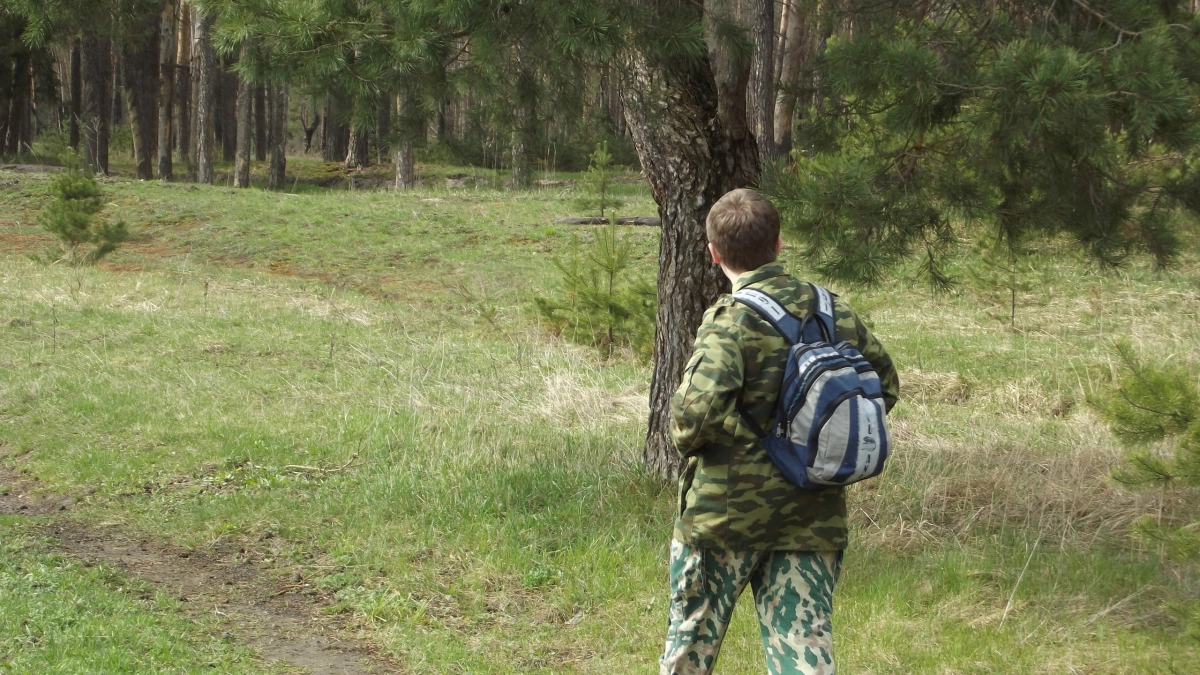 Главная примета грибников 2026: случится большая беда, об этом говорили еще наши предки