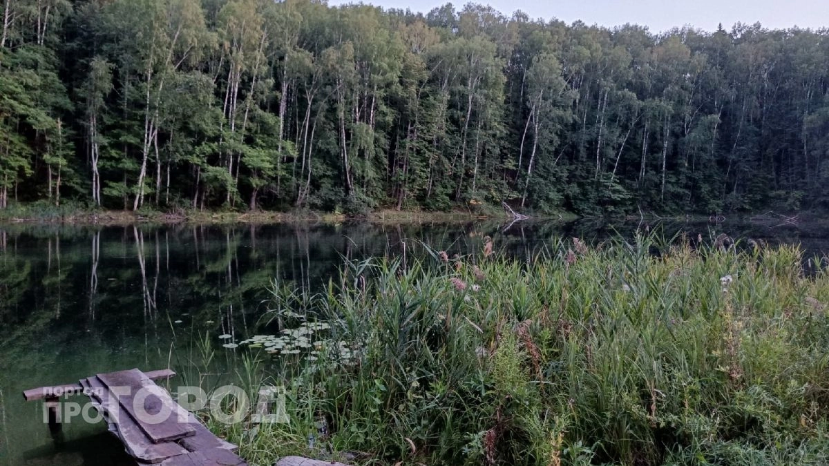 Голоса невидимых людей, странные видения: 4 жуткие аномальные зоны Марий Эл не для слабонервных