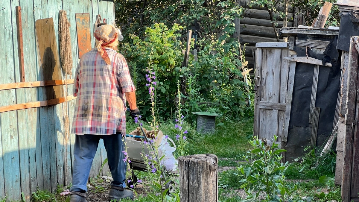 Ахиллесова пята сорняков: они вянут за несколько часов от этого средства из подручных средств – готовлю уже сейчас