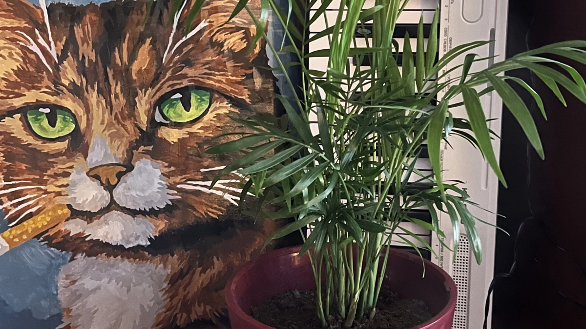 Стоят и пылятся: эти 5 подарков можно запросто передарить другому человеку