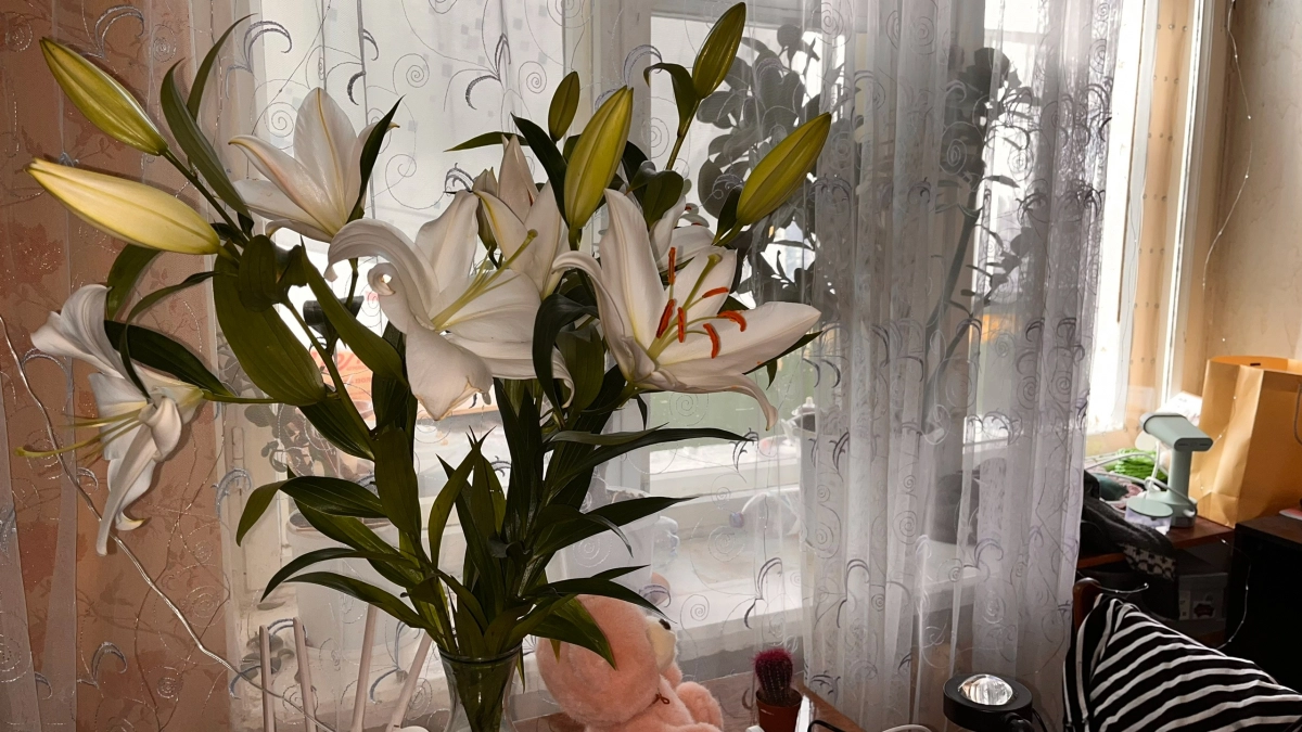 Эти любимые цветы женщины кричат о ее низком интеллекте и стервозности