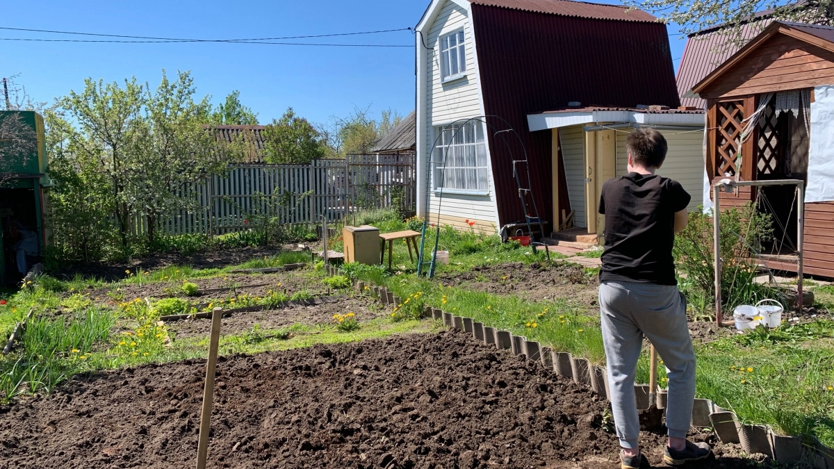 Апрельские заморозки не пустят на огород: дачники массово меняют свои планы