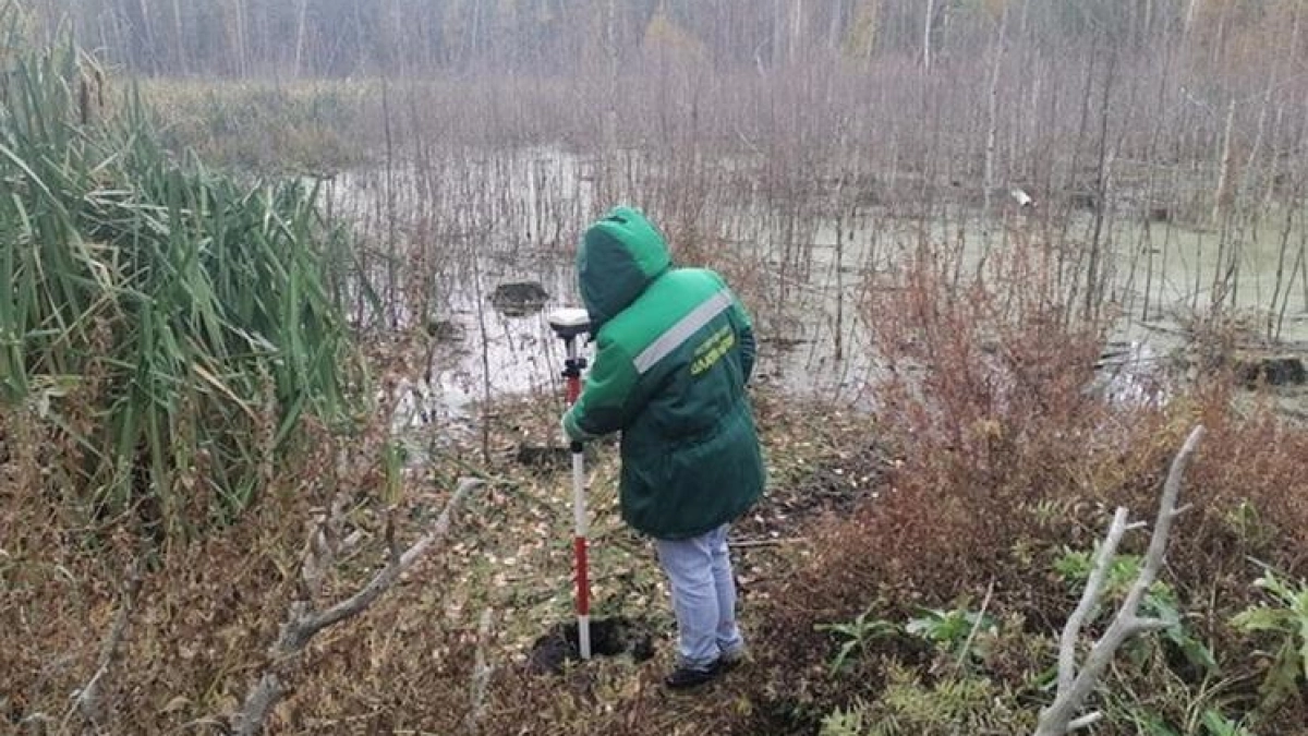 Сточные воды загрязнили 20 000 кв. м в Звенигове на 56 млн рублей