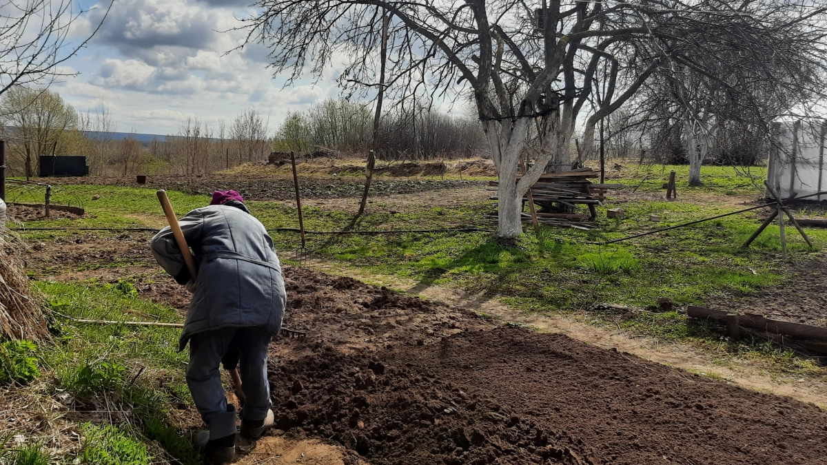 Штыковой лопатой больше не пользуюсь: купила чудо-лопату, вскапываю грядки в три раза быстрее и даже не устаю