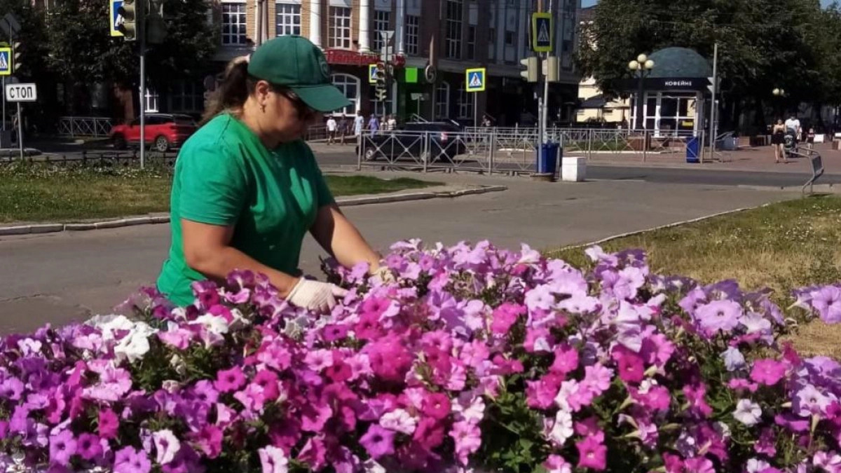 Кольца и улицы Йошкар-Олы украсят яркими цветами