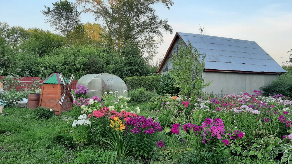 Забудьте про дорогие удобрения: аптечный пузырек за 30 рублей сделает ваш огород самым урожайным в районе