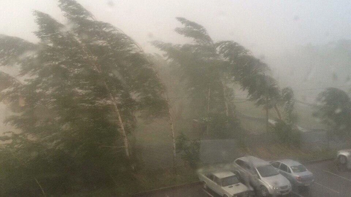 Сильный дождь и ветер до 20 м/с накроет Марий Эл этой ночью