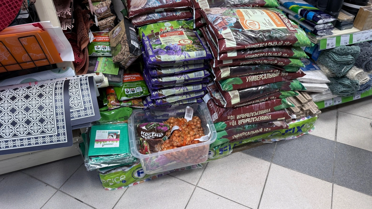 300 рублей на свалку: как не купить бесполезный грунт для рассады — 5 тревожных сигналов