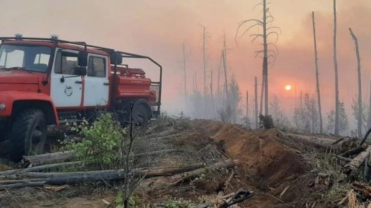 Авиалесоохрана назвала самый опасный месяц для лесов Марий Эл в 2026 году