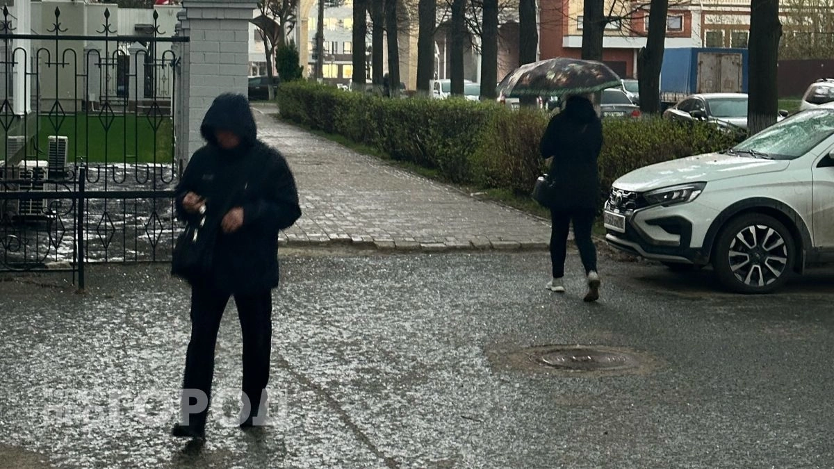 Сильный дождь, а потом заморозки: погода в Марий Эл капитально испортится