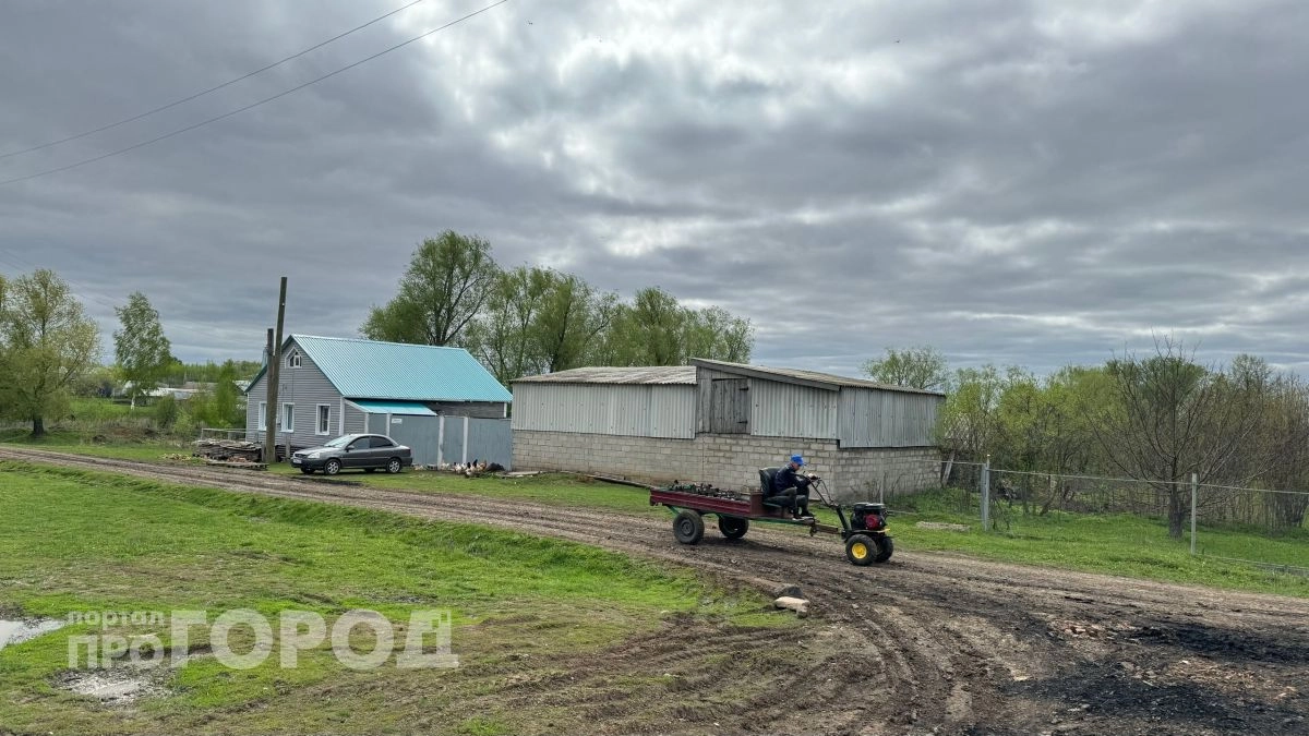 Города больше не привлекают: почему молодежь все чаще уезжает в деревни и не торопится обратно