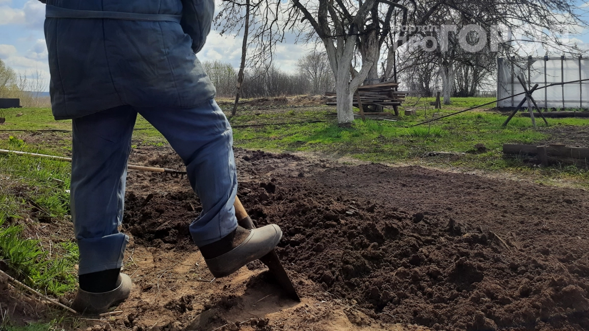 Натираю лопату свечкой, пока соседи смеются: экономлю тысячи рублей и время — работает на 100%