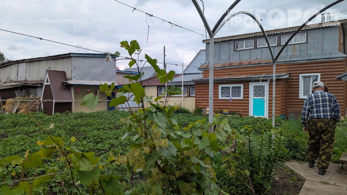 Слабый напор воды — больше не проблема: депутат предложил радикальное решение для дачников и горожан