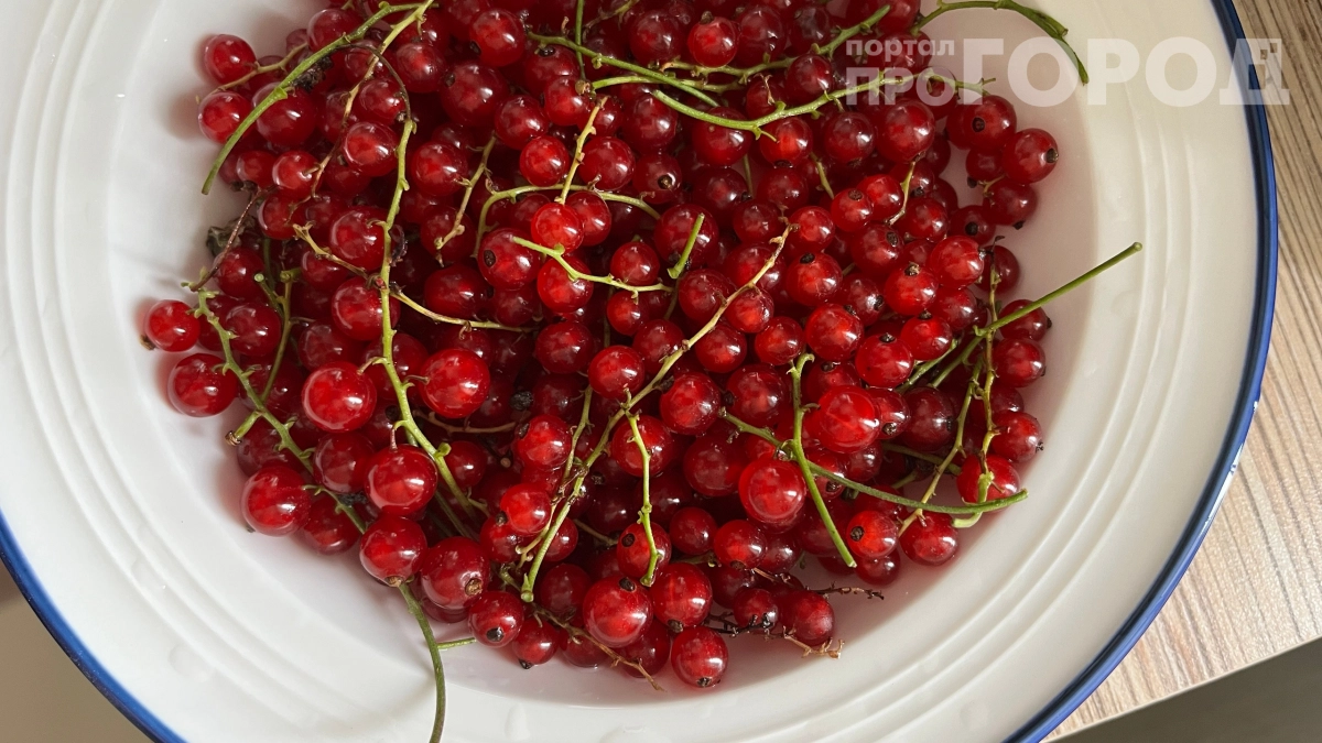 40 минут в апреле — и всё лето без хлопот: секрет идеальной смородины, который знают единицы