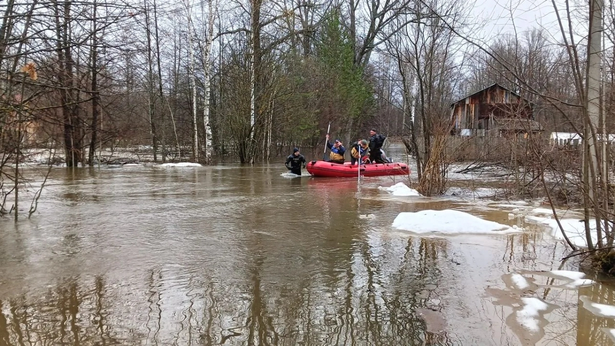 Семью с детьми эвакуировали на лодке из затопленного поселка в Медведевском районе