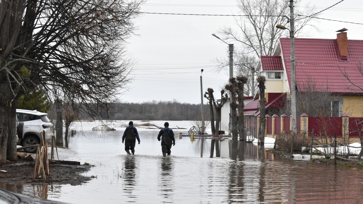 Жителей затопленной улицы Йошкар-Олы эвакуировали на лодках