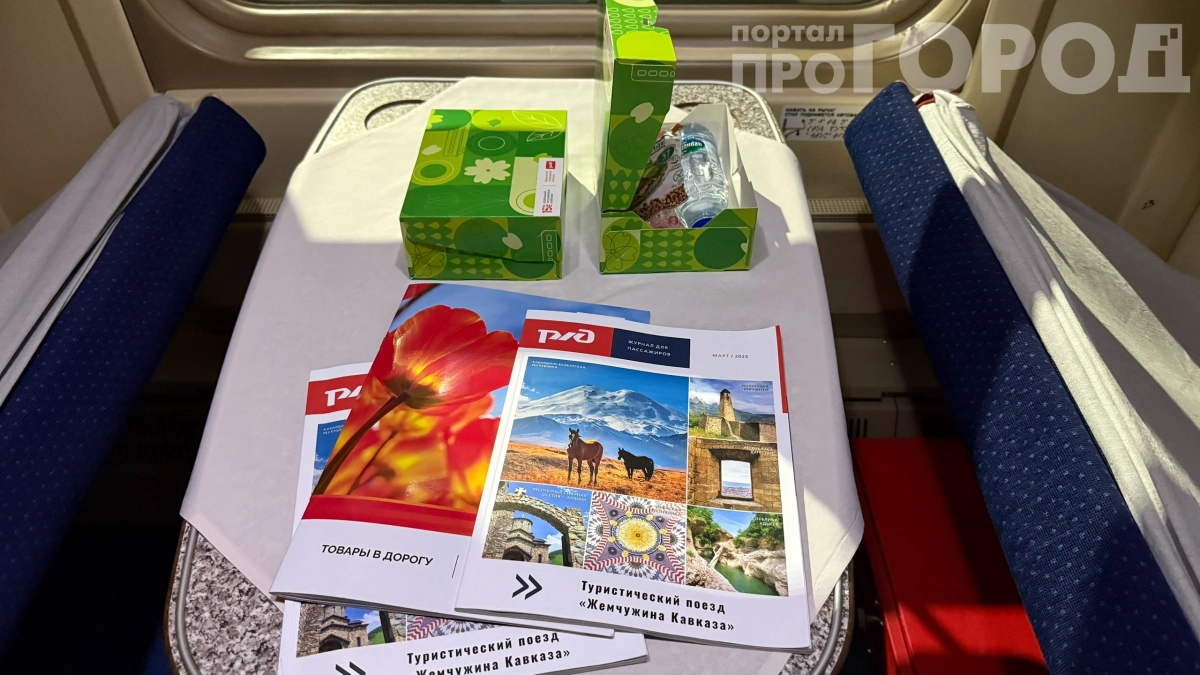 «РЖД, что творишь?»: рост цен, новые правила для детей и посадка по биометрии — бьёт по кошельку