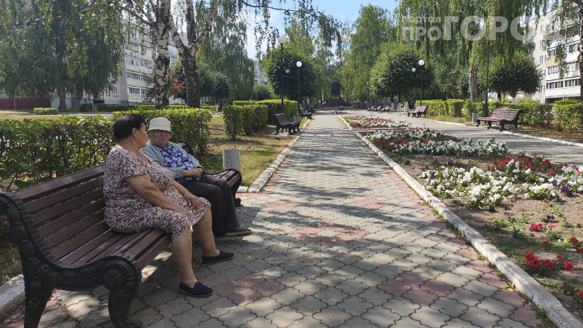 Бабушка по соседству посадила цветы под окном и получила штраф: эксперт объяснил, почему ваша клумба может дорого обойтись