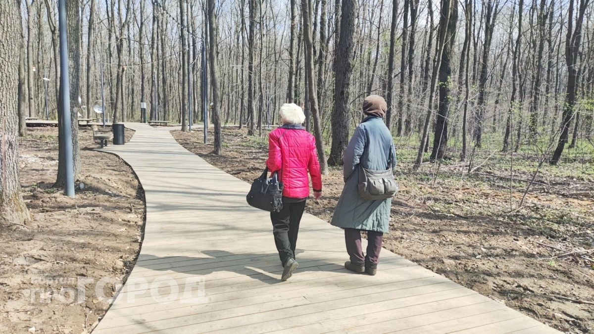 Две пенсии вместо одной: в Госдуме назвали категорию граждан, для которых сделали исключение из правил