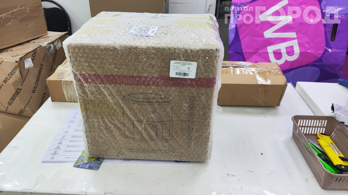 «Роспотребнадзор уже не защитит?»: кто заплатит за возврат не подошедшего товара — новые правила маркетплейсов с 1 октября