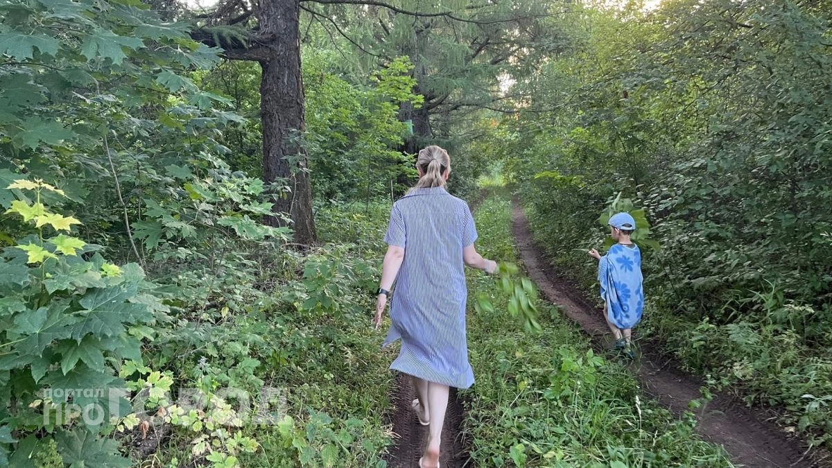 Жителям Марий Эл рассказали об опасной лихорадке, которую могут переносить комары