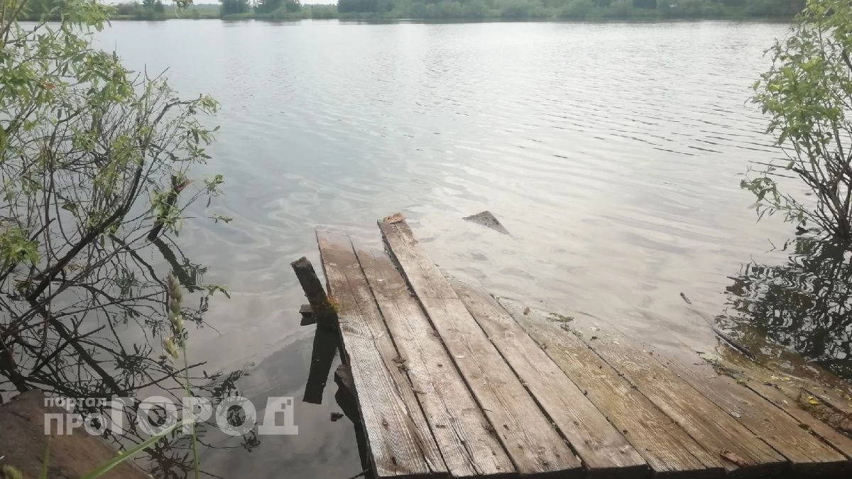 Сом, щука и форель: топ мест для рыбалки в Марий Эл - от Волги до платных прудов