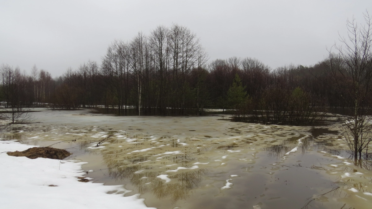 На Большой Кокшаге зафиксировали самое высокое половодье за 45 лет