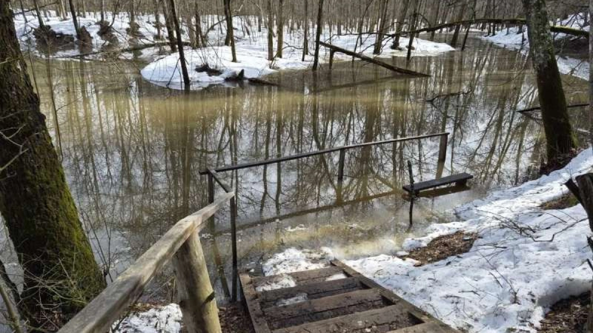 Знаменитый источник в Марий Эл полностью ушёл под воду