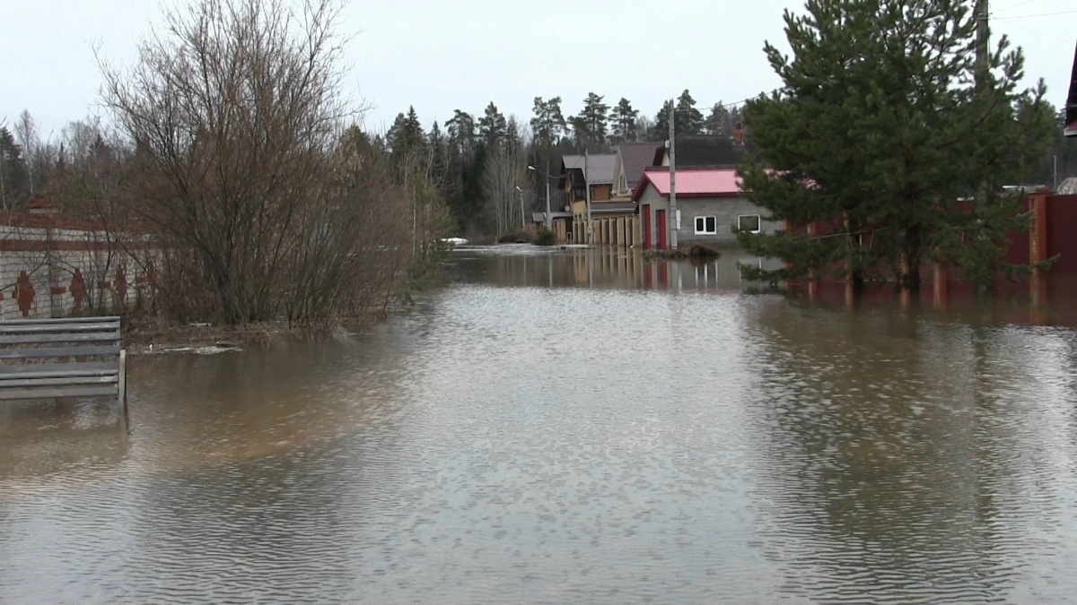 Йошкаролинец ушел проверять затопленный паводком дом и пропал