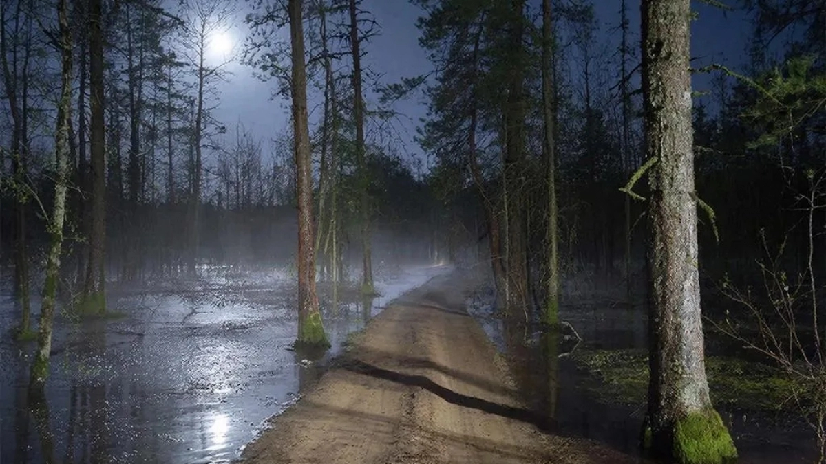 "Буханка" с тремя людьми застряла ночью в лесу Медведевского района: первая группа спасателей не смогла их найти