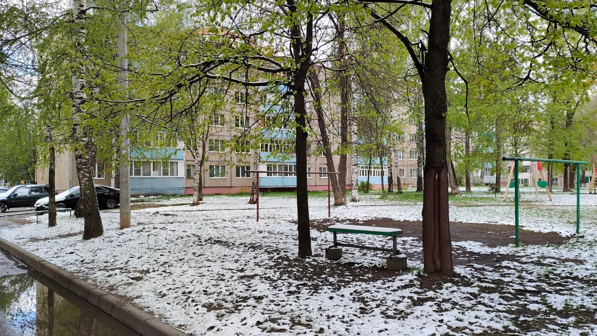 Такого мая не было 40 лет: Вильфанд рассказал о погодном сюрпризе