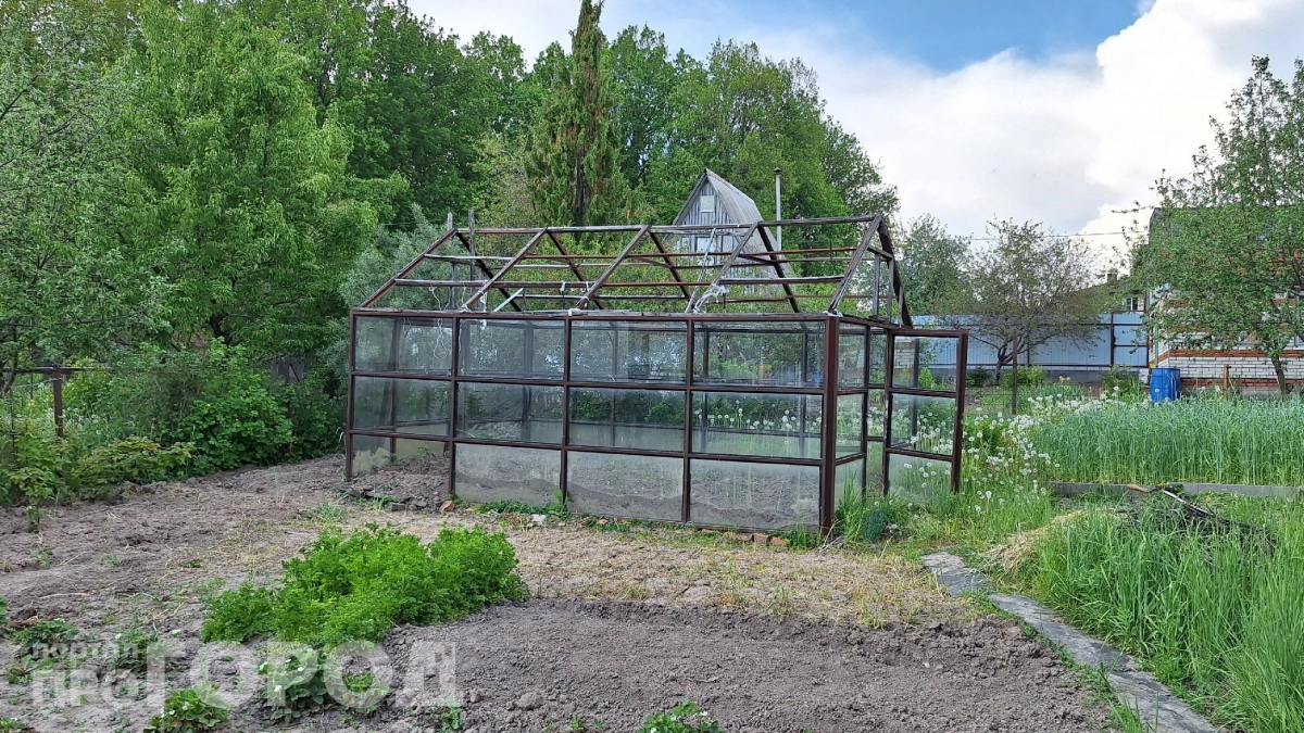 Разломали старую теплицу — и не пожалели: вот что сделали вместо неё за пару дней