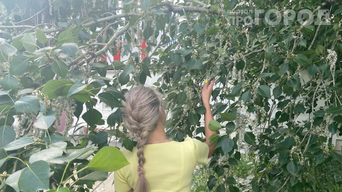 Вы сажаете их у дома и даже не подозреваете: Мичурин предупреждал 87 лет назад — 5 деревьев-вредителей