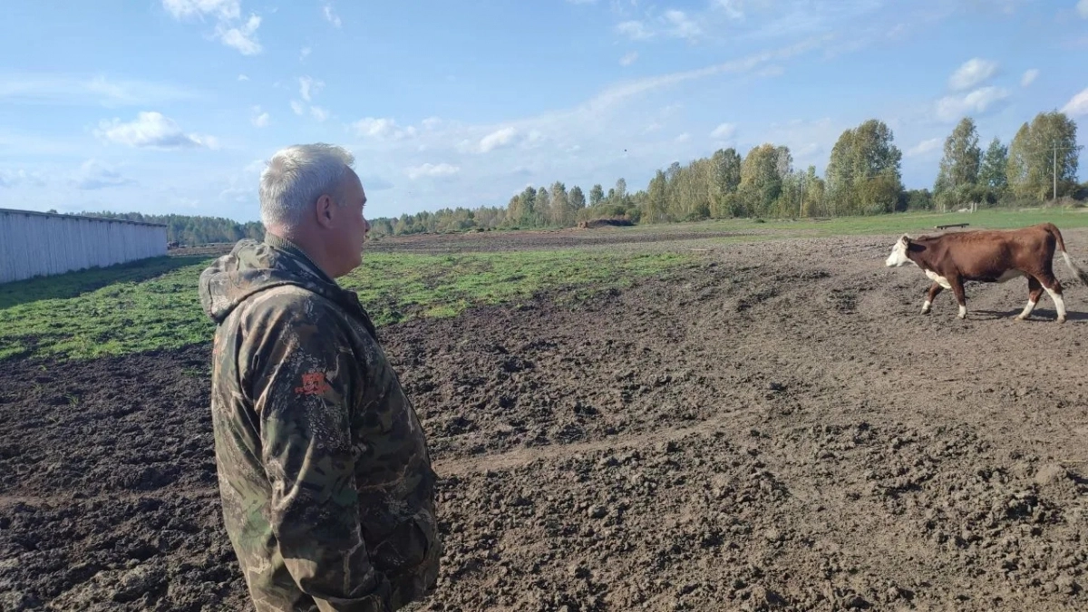 Будет ли урожай: погубил ли паводок поля фермеров Марий Эл