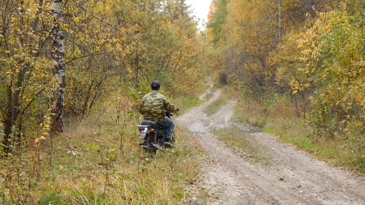 Жителям Марий Эл запретили охоту на лодках и с собаками