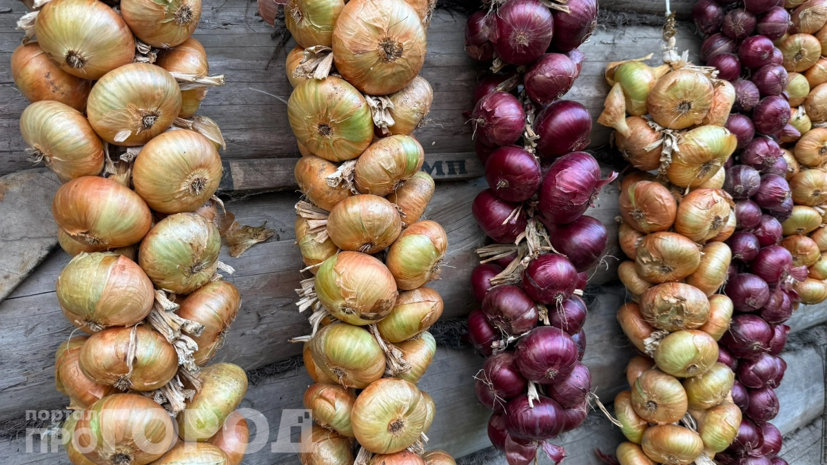 8 лет выращиваю лук как в Голландии — урожай в 10 раз выгоднее: как получить 30 кг лука с грядки